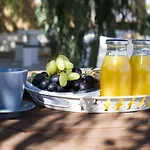Tsakanos